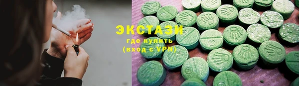 spice Богородицк