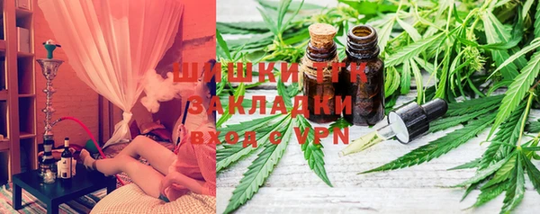 spice Богородицк