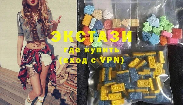 spice Богородицк