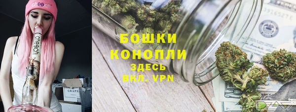 дурь Белокуриха