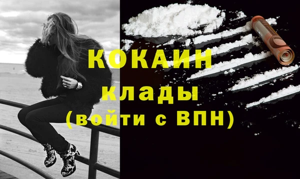 spice Богородицк