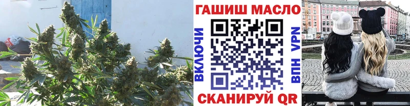 маркетплейс клад Киселёвск ТГК вейп закладка